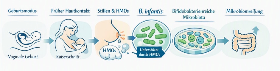 Mikrobiom