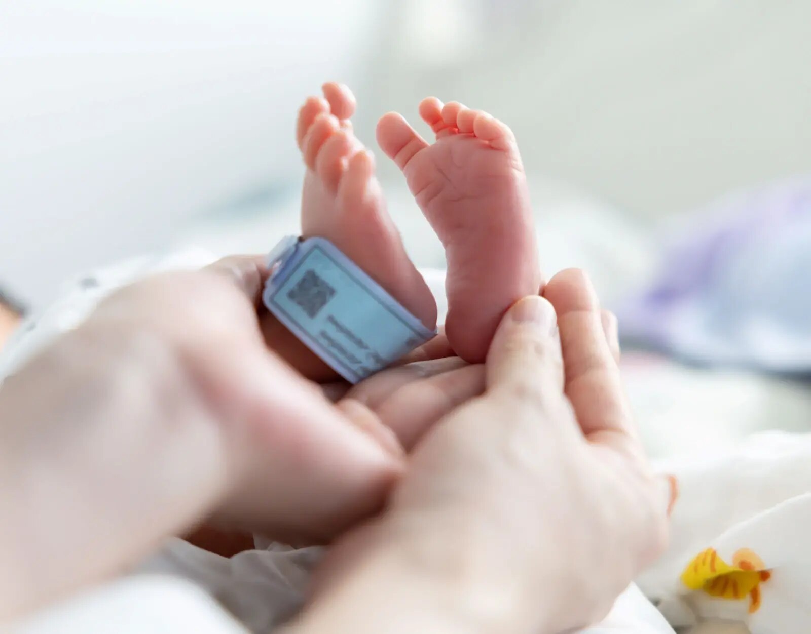 Ernährung von Frühgeborenen