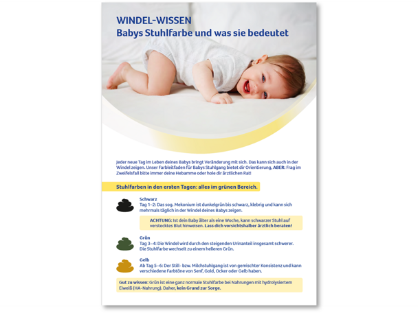 BEBA Family Infoflyer Stuhlfarbe