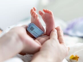 Ernährung von Frühgeborenen