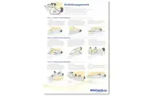 Rückbildungsgymnastik